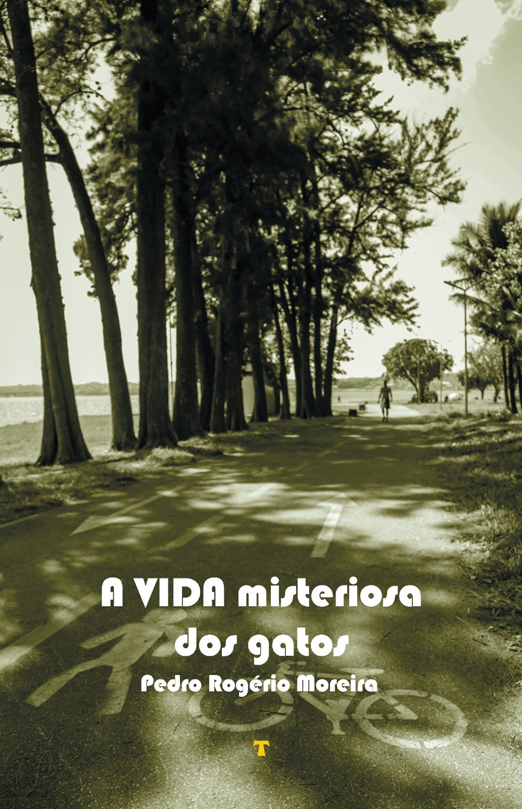 Capa de A vida misteriosa dos gatos